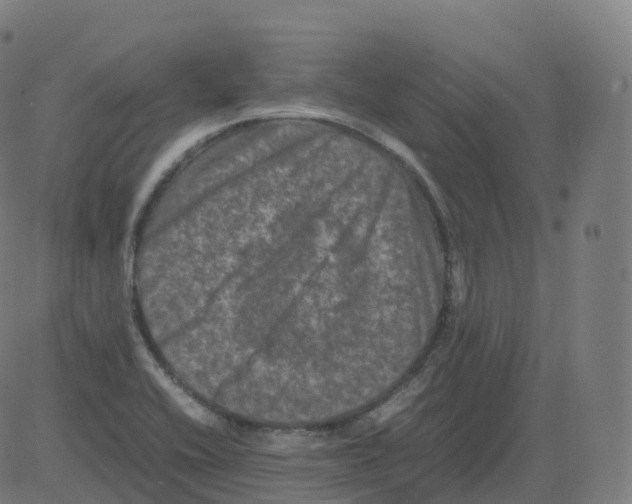 X0000081491416200702100019