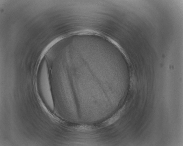 X0000081491418200702100019