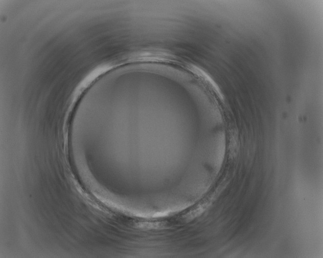 X0000081491419200702100019