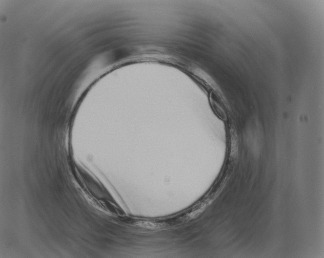 X0000081491420200702100019