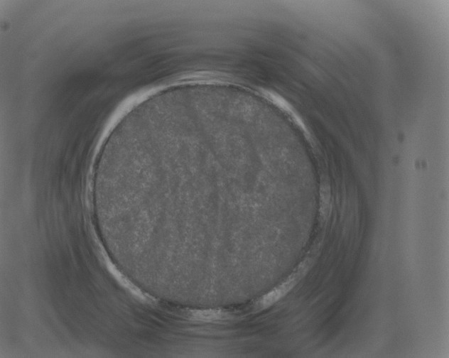 X0000081491421200702100019