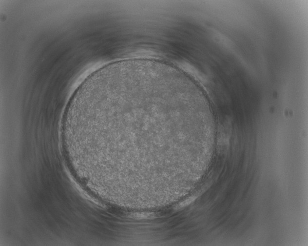 X0000081491423200702100019