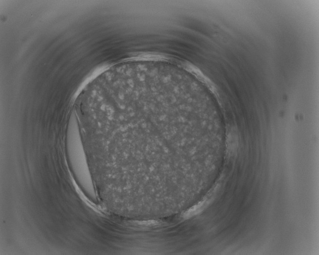 X0000081491425200702100019