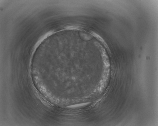 X0000081491427200702100019