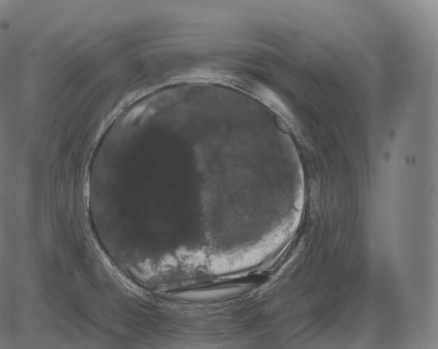 X0000081491428200702100019