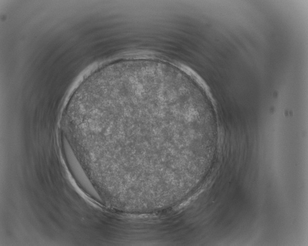 X0000081491429200702100019