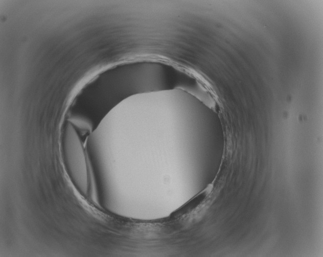 X0000081491430200702100019