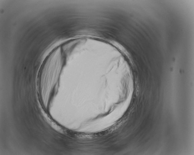 X0000081491431200702100019