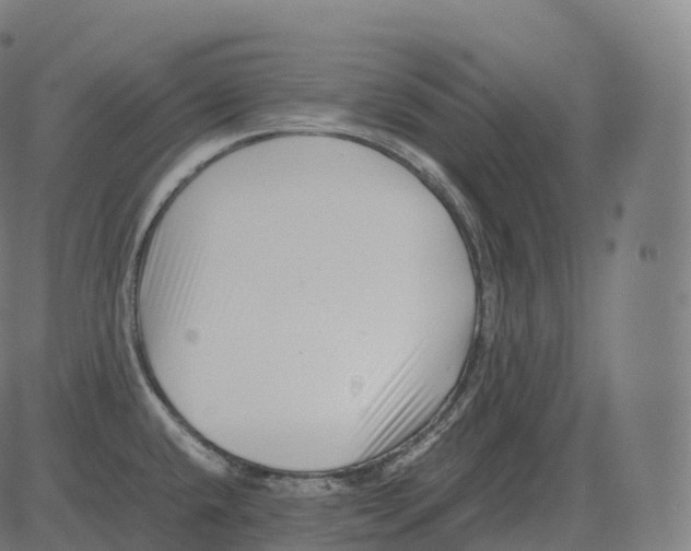 X0000081491432200702100019