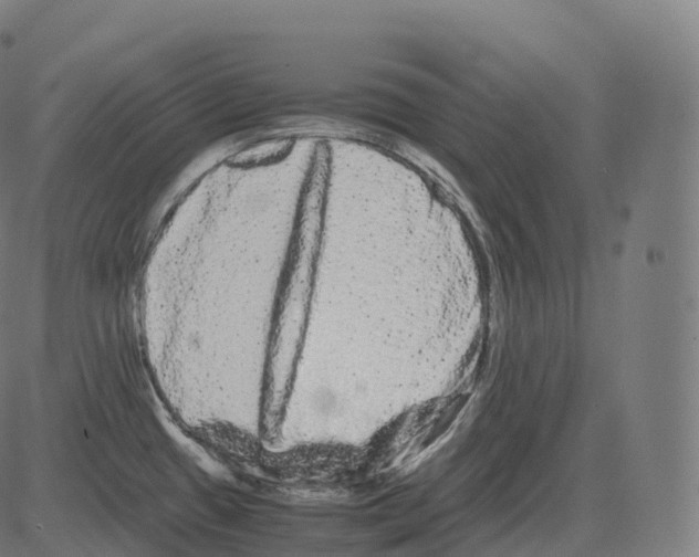 X0000081491433200702100019