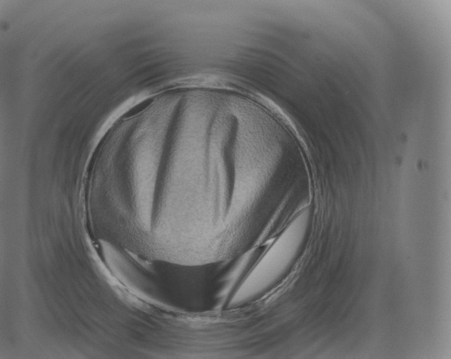 X0000081491434200702100019