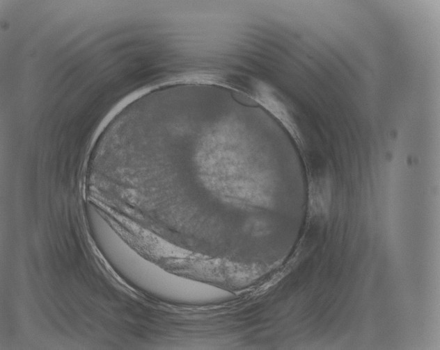 X0000081491436200702100019