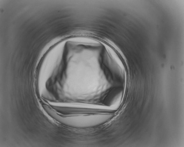 X0000081491437200702100019