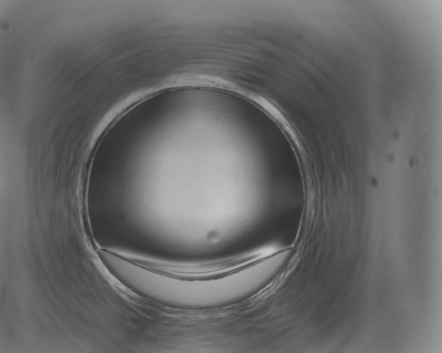 X0000081491438200702100019