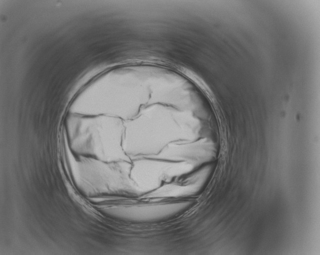 X0000081491439200702100019