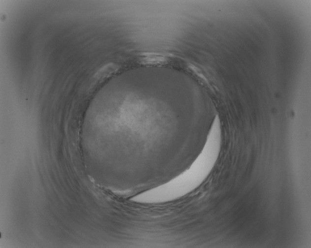 X0000081491441200702100018