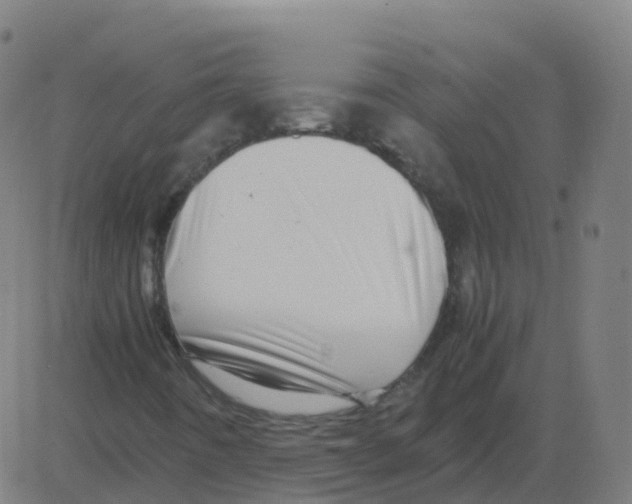 X0000081491442200702100018