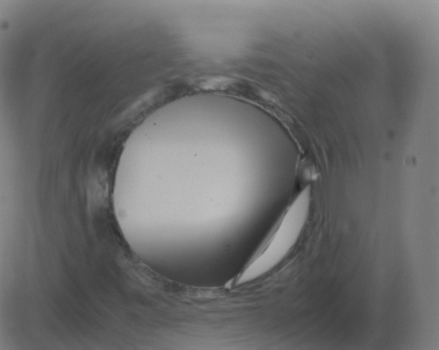 X0000081491443200702100018