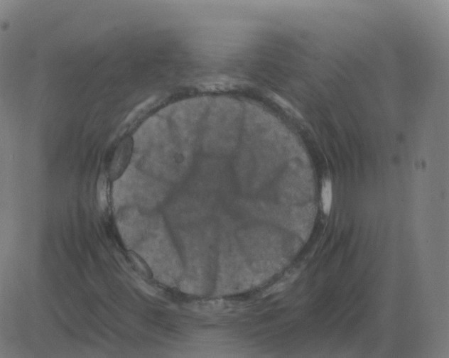 X0000081491444200702100018