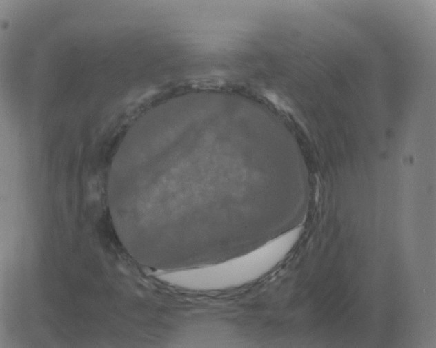 X0000081491445200702100018