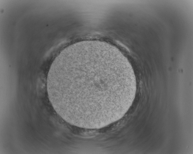 X0000081491447200702100018