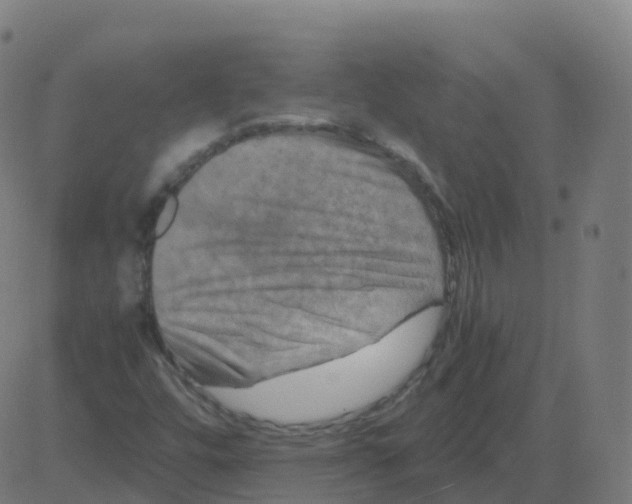 X0000081491448200702100018