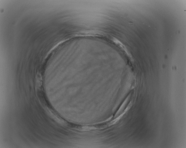 X0000081491449200702100018