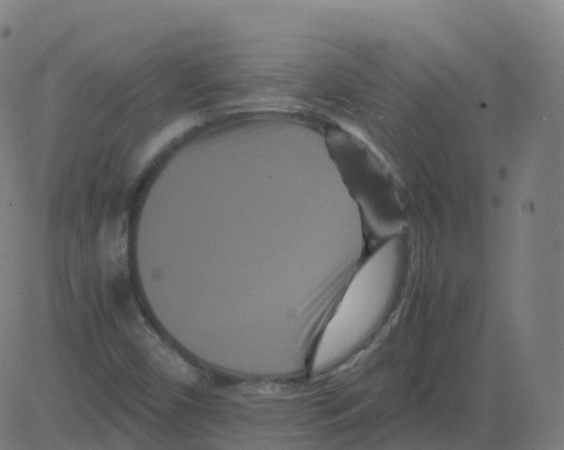 X0000081491450200702100018