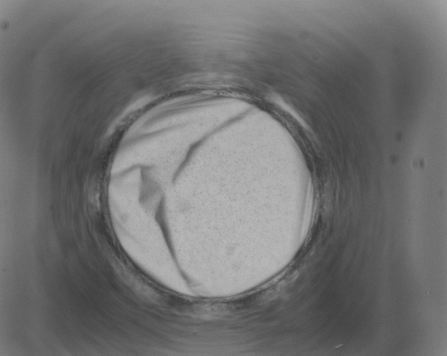 X0000081491451200702100018