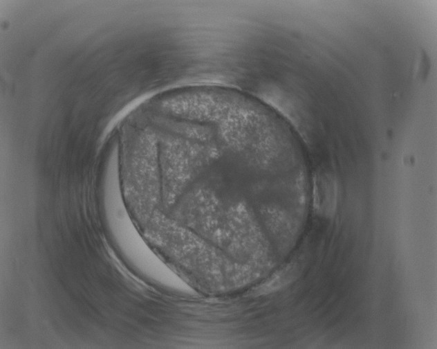 X0000081491452200702100018