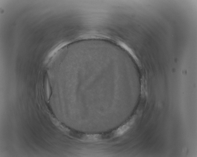 X0000081491453200702100018