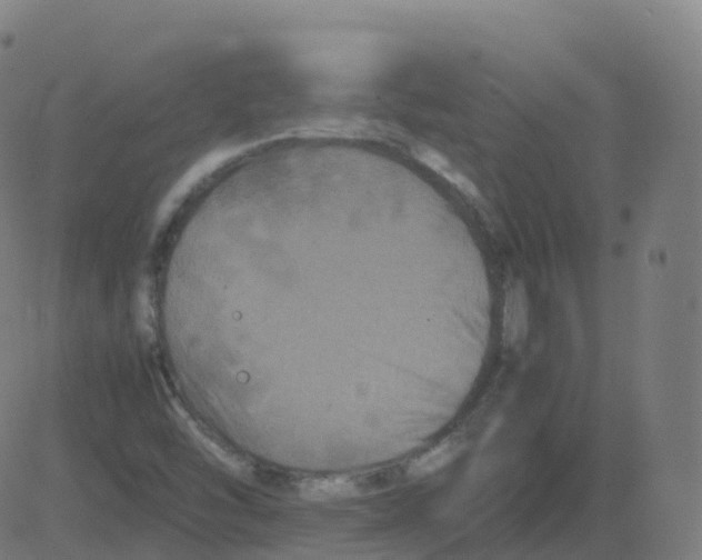 X0000081491454200702100018