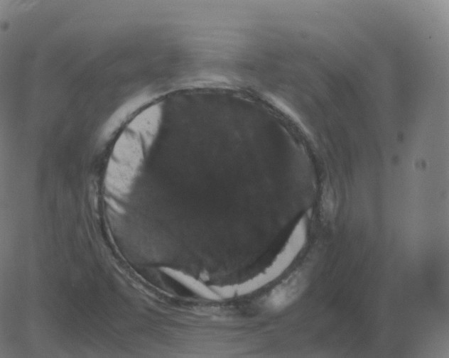 X0000081491455200702100018