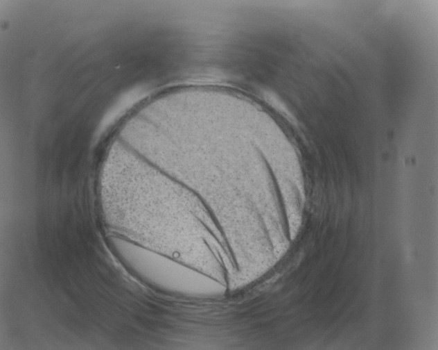 X0000081491456200702100018