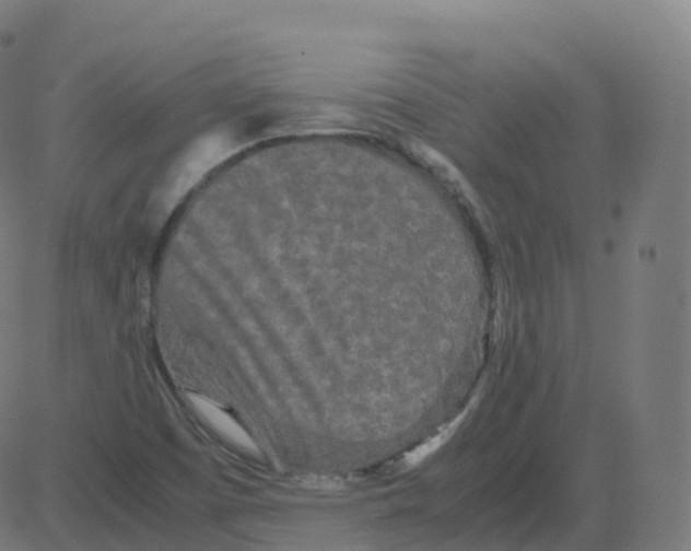 X0000081491457200702100018