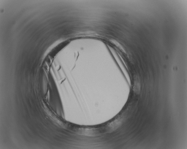 X0000081491458200702100018