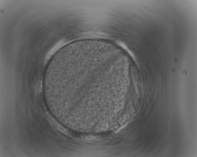 X0000081491459200702100018