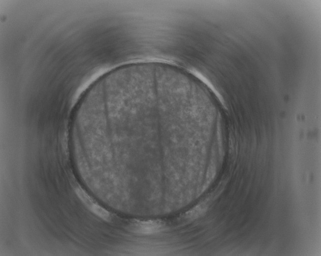 X0000081491460200702100018