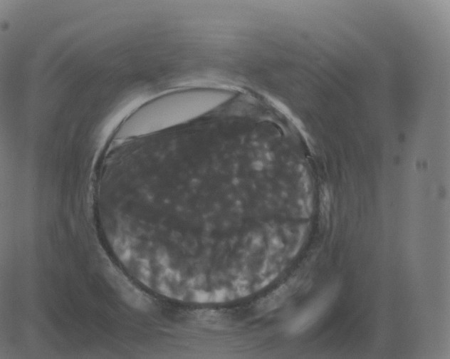 X0000081491463200702100018