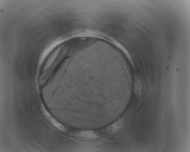 X0000081491464200702100018