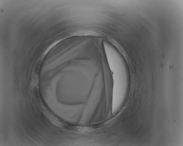 X0000081491465200702100018