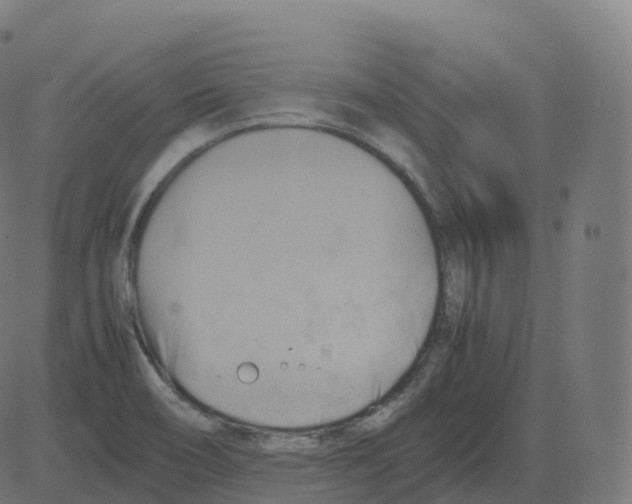 X0000081491466200702100018