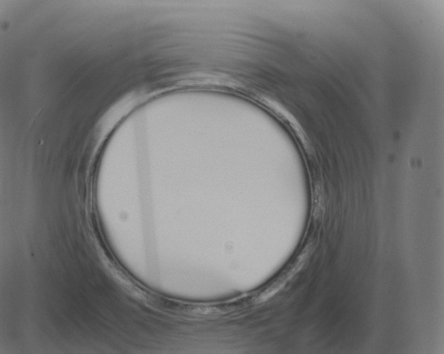 X0000081491467200702100018