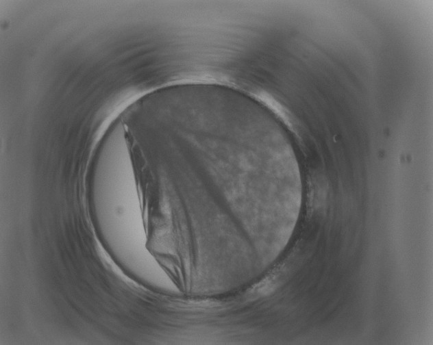 X0000081491468200702100018