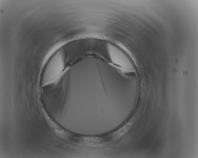 X0000081491469200702100018