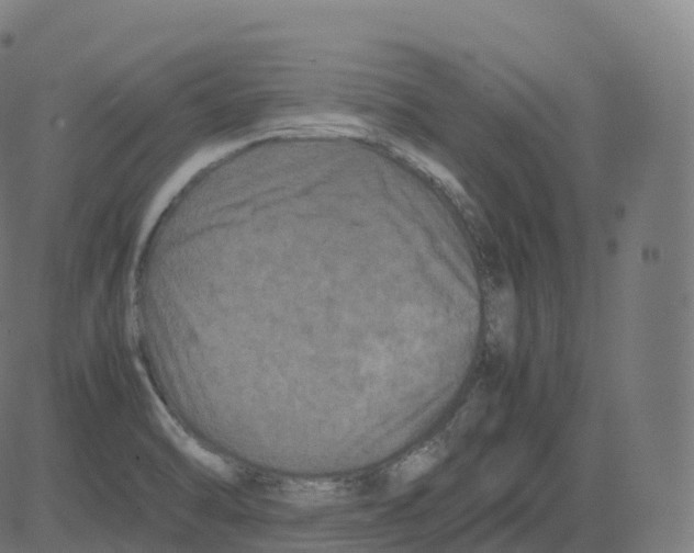 X0000081491470200702100018