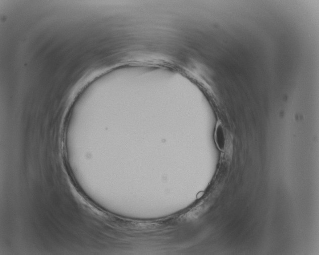 X0000081491471200702100018