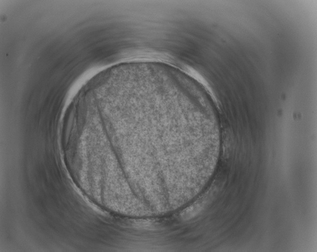 X0000081491472200702100018