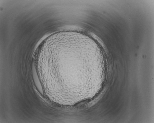 X0000081491473200702100018