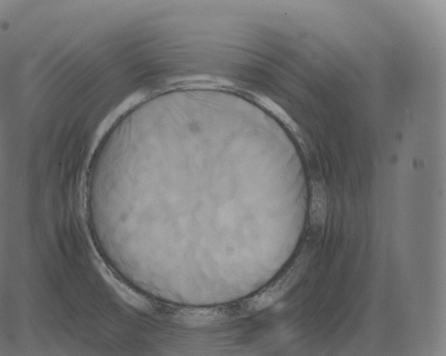 X0000081491474200702100018